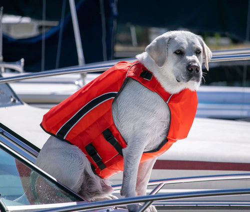 MONTEREY BAY DOG LIFEJACKET OFFSHORE- ORANGE  X-LARGE