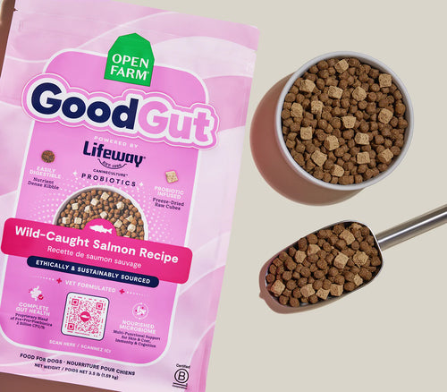 Open Farm GoodGut Wild-Caught Salmon Dog Kibble - 3.5lb