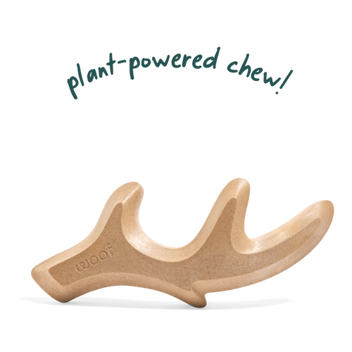HonestChew Woof’s Ultra-Durable Medium Antler Chewbone for Dogs