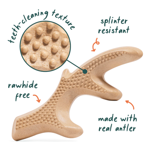 HonestChew Woof’s Ultra-Durable Large Antler Chewbone for Dogs
