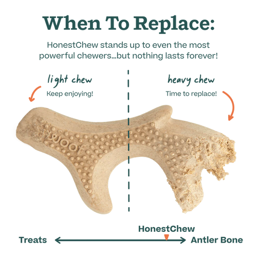 HonestChew Woof’s Ultra-Durable Large Antler Chewbone for Dogs