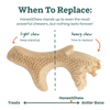 HonestChew Woof’s Ultra-Durable Medium Antler Chewbone for Dogs