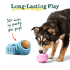 WOOF REFILL BIRTHDAY PUPSICLE POPS - LARGE
