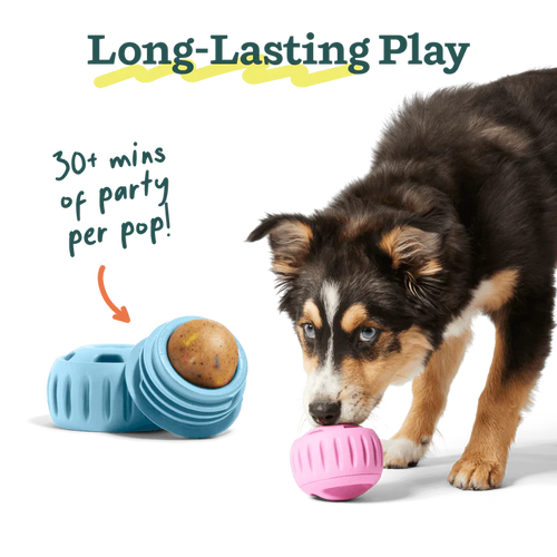 WOOF REFILL BIRTHDAY PUPSICLE POPS - LARGE