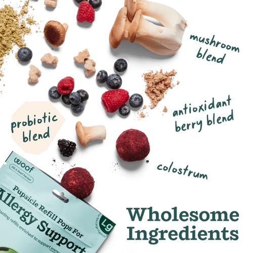 WOOF ALLERGEY SUPPORT PUPSICLE REFILL POP - EXTRA LARGE