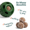 WOOF CALMING WELLNESS REFILL PUPSICLE POPS - LARGE