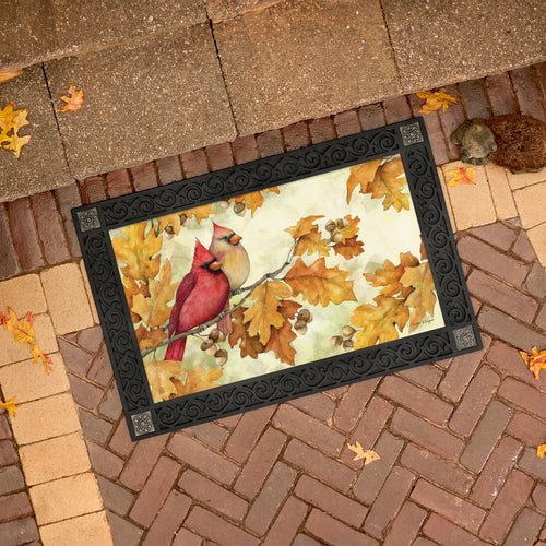MATMATE CARDINALS IN FALL OAK