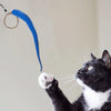 A-Lure-Ring Cat Toy