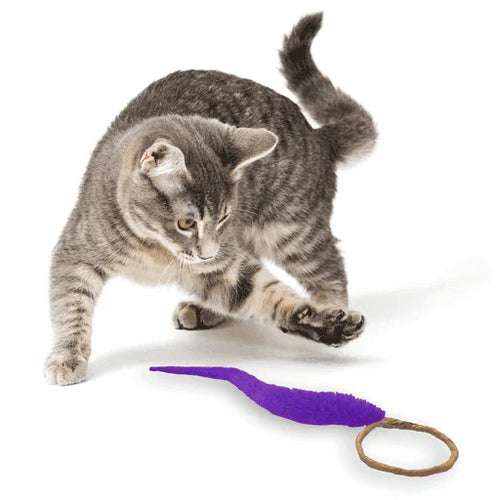 A-Lure-Ring Cat Toy