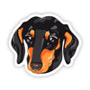 Big Moods Pet Stickers - Assorted Designs
