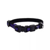 Inspire - 1x 14-20 Medium Adjustable Dog Collar