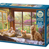 Sunbeam 500pc Puzzle