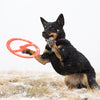 BIONIC TOSS-N-TUG® DOG TOY