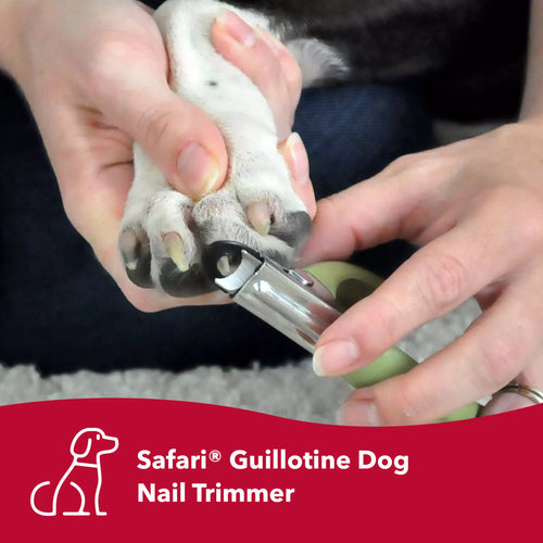 Safari by Coastal Guillotine Dog Nail Trimmer - Small