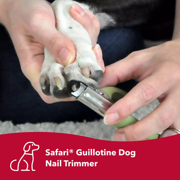 Safari by Coastal Guillotine Dog Nail Trimmer - Small