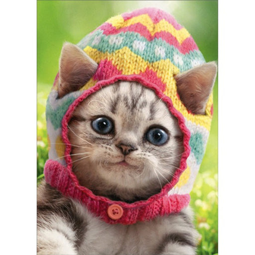 Kitten Wears Knit Egg Cap Cute Cat Easter Card