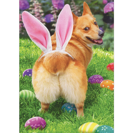Dog with Pink Bunny Ears on Butt on Lawn with Colorful Eggs Funny / Humorous Easter Card