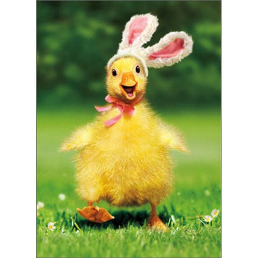 Duckling Bunny Funny / Humorous Easter Card
