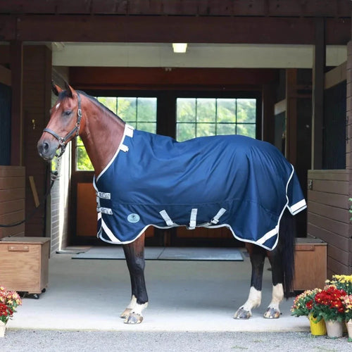 Centaur TG2 Horse Blanket