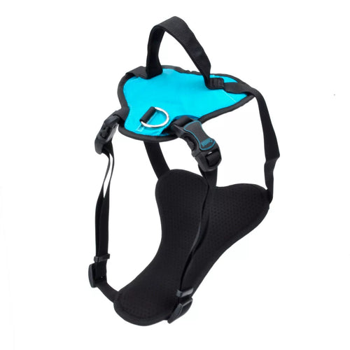 Inspire Adjustable Dog Harness with Handle - Small