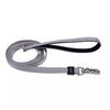 Inspire Dog Leash - 1 x 6'