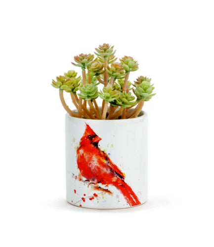 Ceramic Cardinal Succulent
