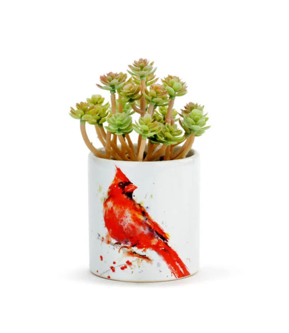 Ceramic Cardinal Succulent