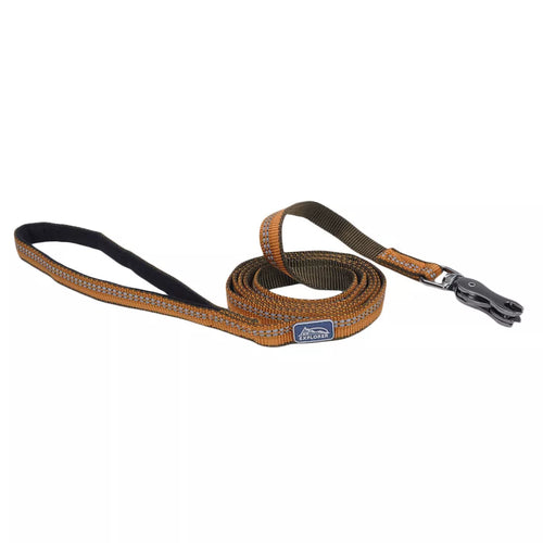 K9 Explorer Reflective Dog Leash with Scissor Snap