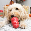 KONG Classic - Large