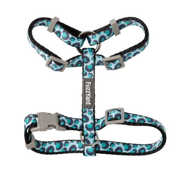 Cat Walking Set - Knoxville, TN - Agri Feed Pet Supply