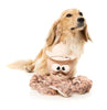 Octo-Posse Dog Toy - Sir David Octoborough