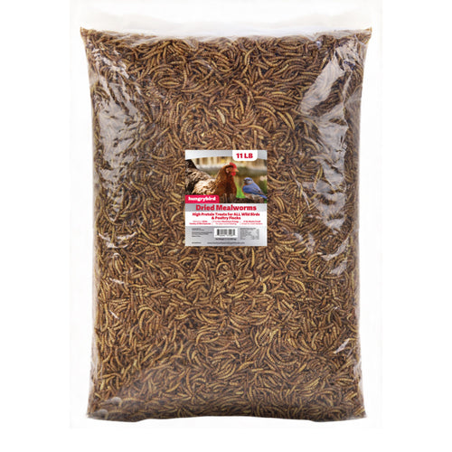 Dried Mealworms - 11lb
