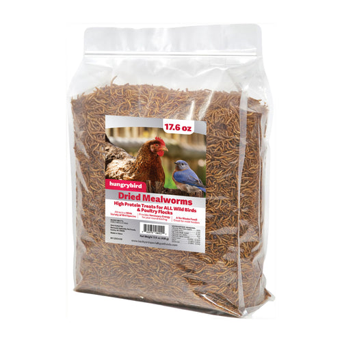 DRIED MEALWORMS - 17.6oz BAG