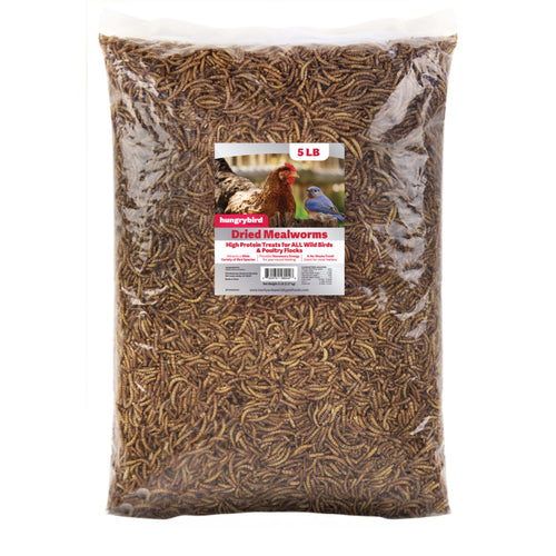 DRIED MEALWORMS - 5LB BAG