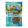 Peanut Butter Energy Complete™ High Protein Suet Bites - 3lb