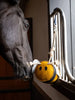 Horse Toy Bee