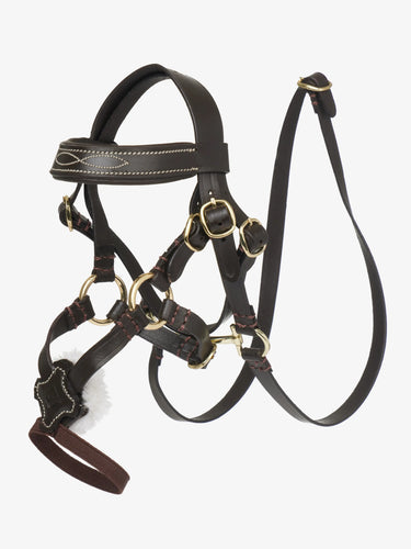 Toy Pony Grackle Bridle Brown