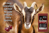 KID KANDY TRACE MINERAL CHERRY GOAT TREAT - 4LB