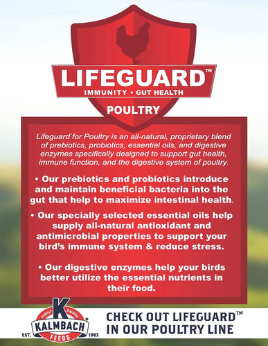 KALMBACH FEEDS 20% Flock Maker® PELLET - 50LB