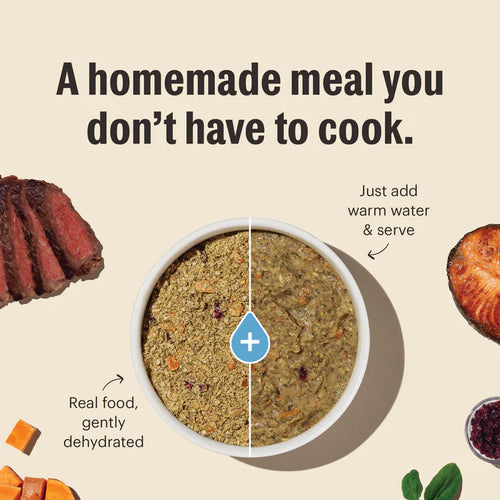 The Honest Kitchen Wholemade Grain Free Turkey - 2lb