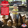 KALMBACH FEEDS 17% Non-GMO Layer Pellets for Chickens and Poultry - 50LB