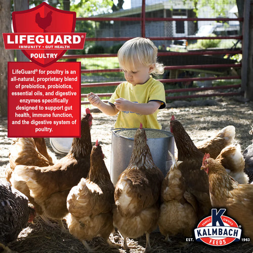 KALMBACH FEEDS HI OMEGGA® CHICKEN LAYER PELLET - 50LB