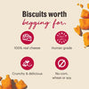 The Honest Kitchen Cheddar Biscuits Dog Treats - 3.5oz