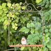 Original Series Hummingbird Swing - Brozne