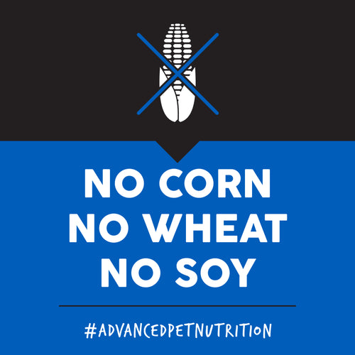 Ultimates Whitefish Meal & Rice Dry Dog Food For Adult Dogs - 28lb