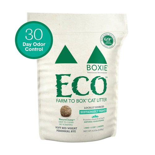 Boxie Cat Eco™ Plant-Based Biodegradable Cat Litter - 6.5lb