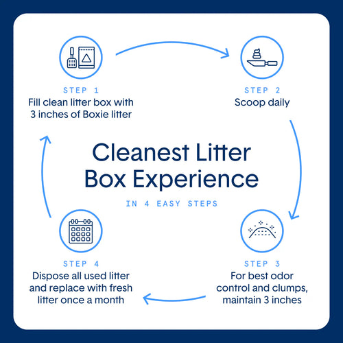Boxie Cat Eco™ Plant-Based Biodegradable Cat Litter - 6.5lb