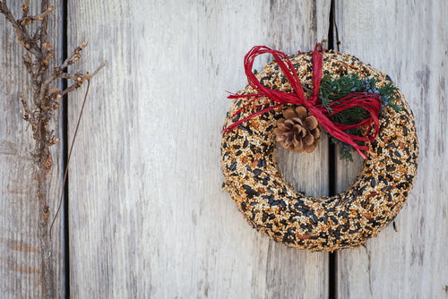 Mr. Bird Wildfeast Seed Wreath