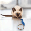 A-Lure-Ring Cat Toy