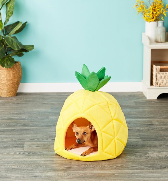 YML Pineapple Covered Cat & Dog Bed Small
